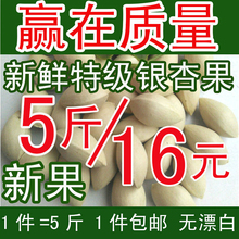 2017 Fresh Sheng Ginkgo Ginkgo Fruit 5 Catties из бесплатной доставки 邳 201 201 201 201 (Отправить рецепты качество)