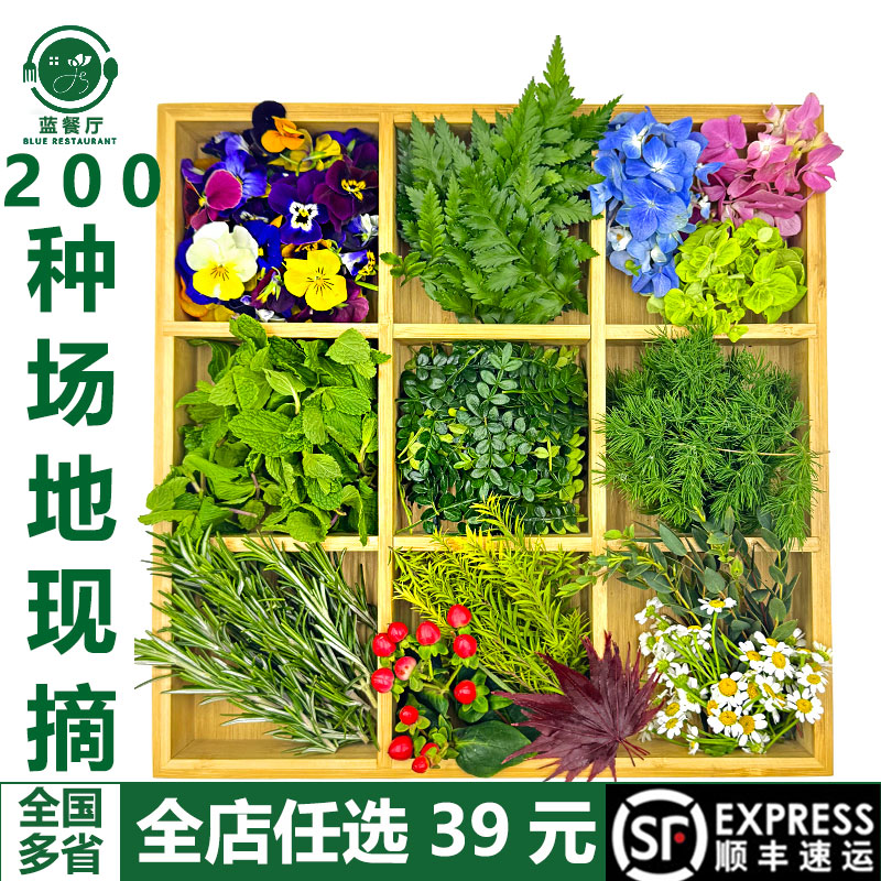 新鲜增香调味花草合集250g