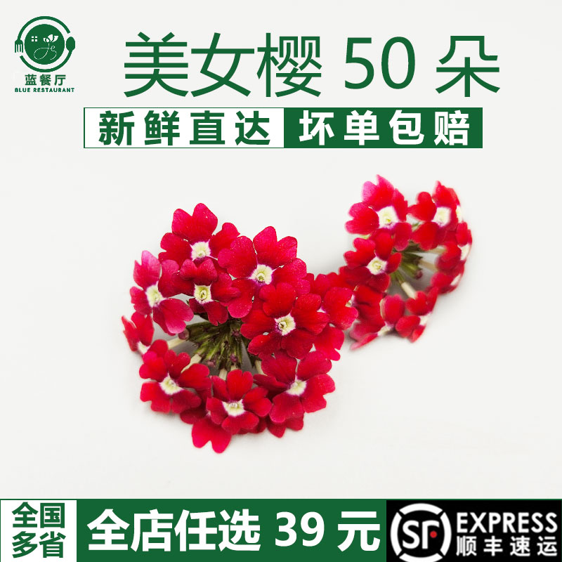 蓝餐厅创意冷盘美女樱新鲜50朵