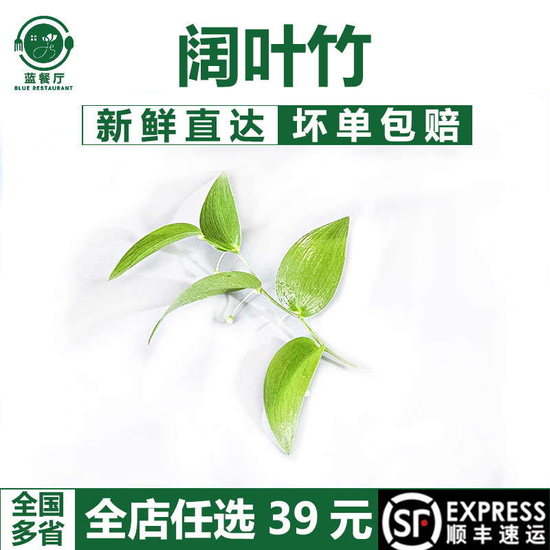 幸运星烘焙装饰叶点缀摆盘美观