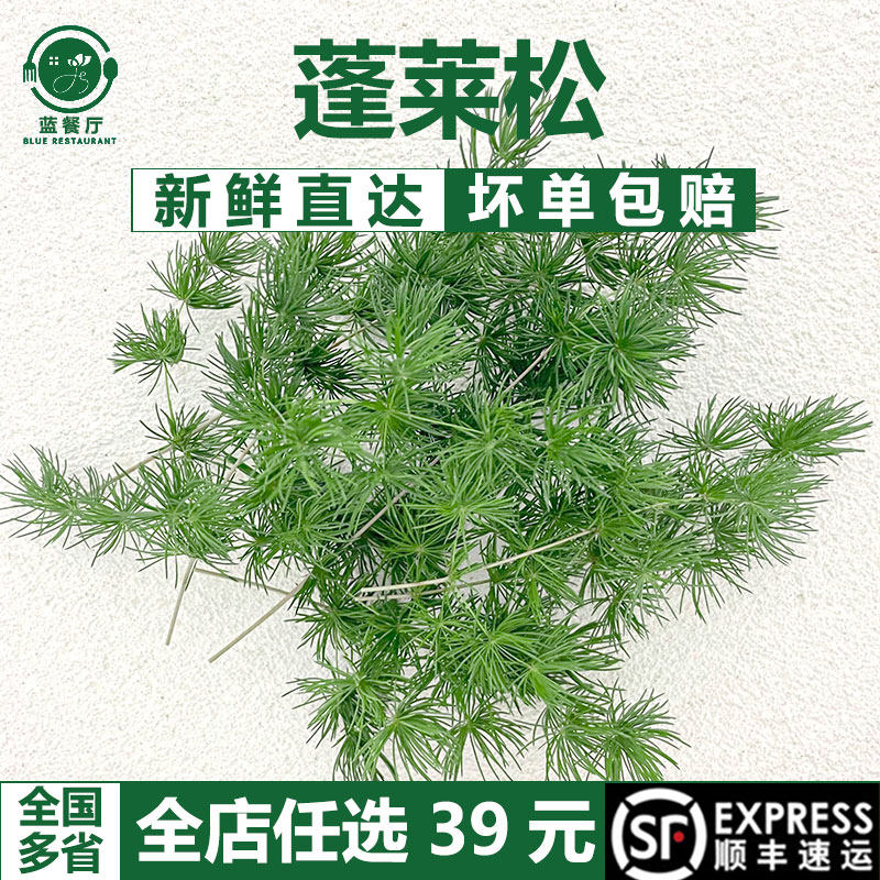 蓬莱松15支 日式料理三文鱼冷盘创意装饰 酒店私房菜餐厅精致摆盘