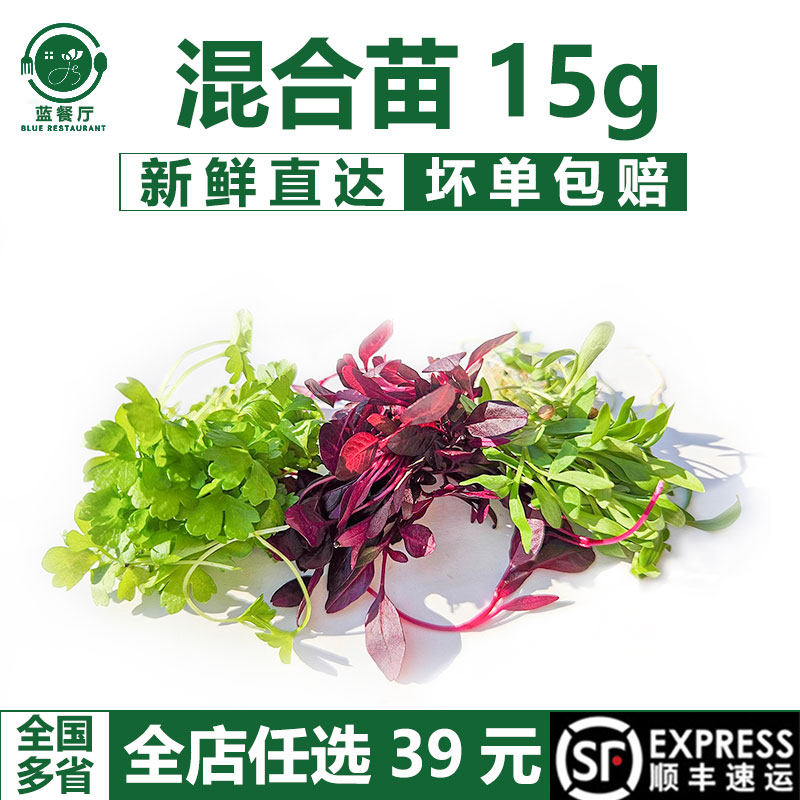 蓝餐厅混合芽苗菜15g餐厅冷盘造型装饰点缀甜品摆盘创意搭配花草,水产肉类/新鲜蔬果/熟食,其它,淘宝优惠券,粉丝福利购,淘宝优惠卷