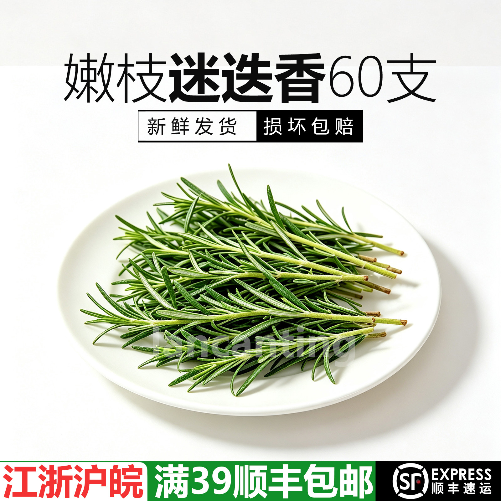 新鲜嫩枝迷迭香蛋糕装饰绿植