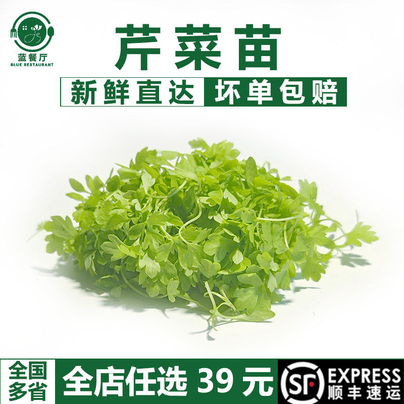 新鲜芹菜苗15g可食用芽苗菜西餐厅冷盘造型装饰甜品点缀三叶芹