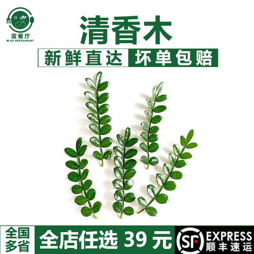 新鲜清香木可食用蛋糕装饰