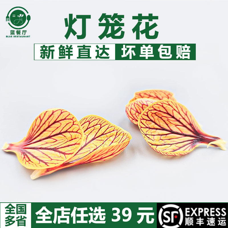 蓝餐厅新鲜灯笼花瓣25片金玲风铃餐饮西餐蛋糕烘焙调酒鲜摆盘装饰