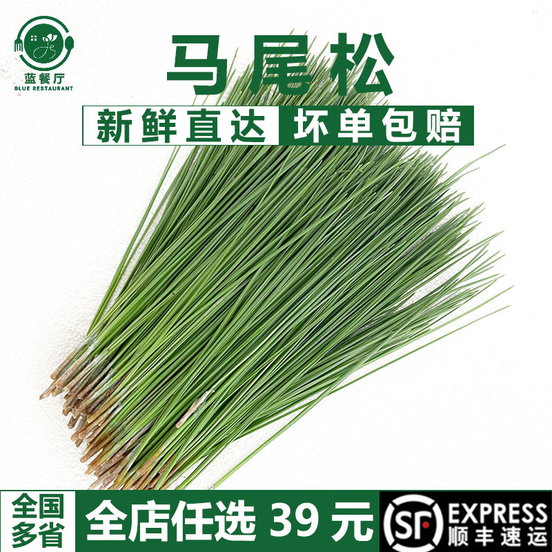 食用野生新鲜松针中药材马尾松松叶酵素枕头芯养生茶蒸包子蒸笼垫