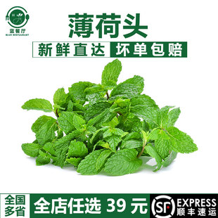 蓝餐厅薄荷头30朵烘焙蛋糕装 饰叶子 饰奶茶果饮调味莫吉托鸡尾酒装