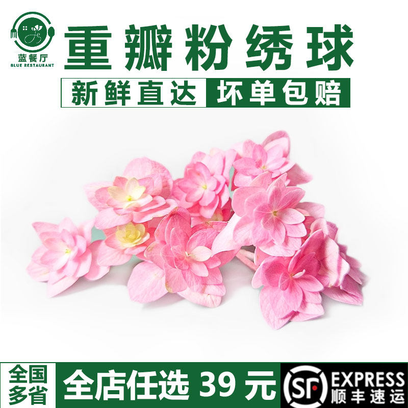 重瓣粉绣球50朵装饰蓝餐厅点缀