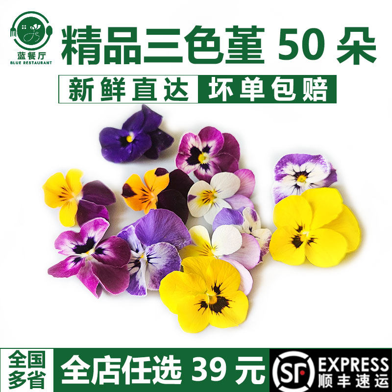 西餐摆盘蛋糕装饰清香木三色堇