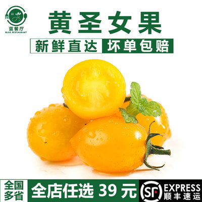 黄圣女果新鲜西红柿沙拉食材