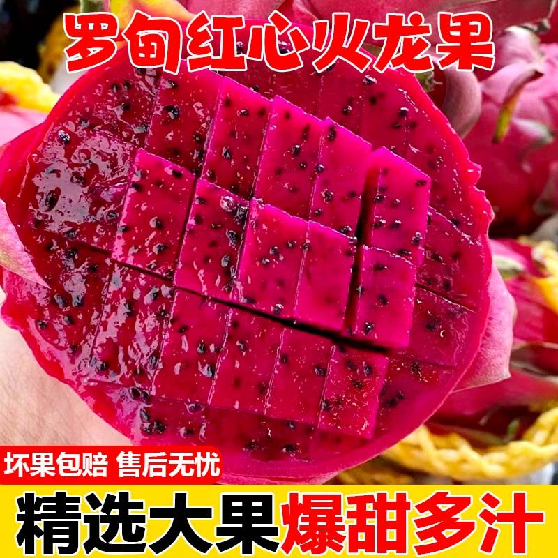 贵州特产罗甸红心火龙果新鲜当季水果现摘大果树上熟10斤整箱包邮
