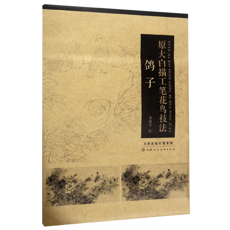 李俊才绘 天津人民美术出版社 鸽子白描线稿底稿步骤图 工笔花鸟画