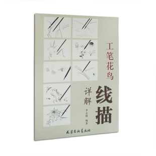 工笔花鸟画 国画技法 白描 工笔花鸟线描详解 正版 天津杨柳青画社 线描艺术概述与处理 书籍 李志刚编著
