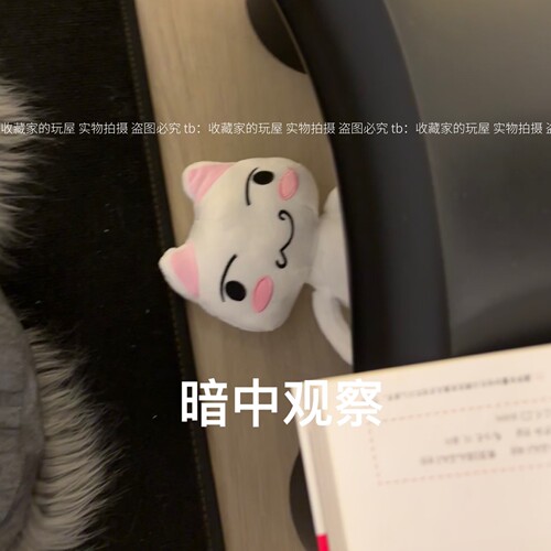 Toro多罗猫和小黑kuro可爱公仔