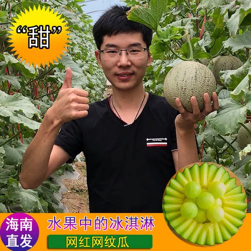 海南网纹瓜哈密瓜静冈蜜瓜热带新鲜一整箱水果玲珑香甜玫珑瓜顺丰 - 封面