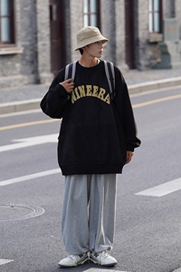 city boy街拍秋装情侣圆领宽松卫衣秋季男装字母发泡外套D217 P48图片