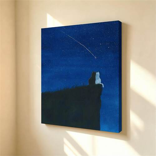 无框画装裱St.aftercigs悬崖星空流星黑白双猫治愈客厅装饰画挂画