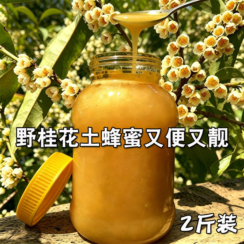 深山野山桂花蜜土蜂蜜纯正天然农家自产从化冬季成熟生原蜜无兑勾