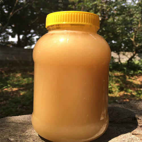 2斤土蜂蜜纯正天然野生枇杷原蜜