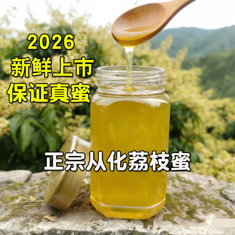 2026从化荔枝蜜龙眼蜜新鲜纯正天然农家自产无添加孕妇桂圆蜜糖