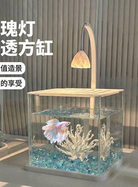 桌面小鱼缸鱼缸客厅桌面缸