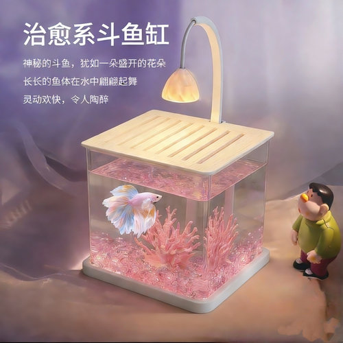 2026新款超白桌面斗鱼观赏缸