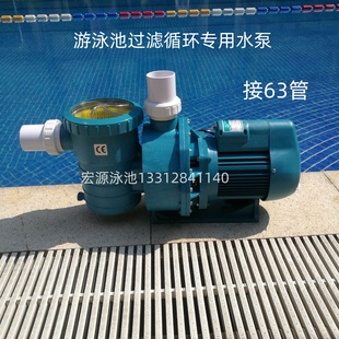 游泳池水泵沙缸过滤循环按摩喷嘴水疗吸污水泵塑料泵4HP HL300350