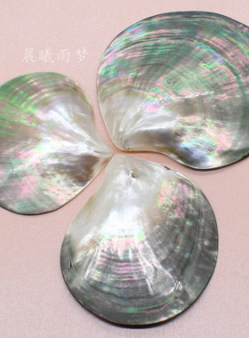 黑蝶贝自然风鱼缸造景diy饰品