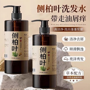 潮抱侧柏叶洗发水中药材生姜何首乌控油蓬松养发纯植物正品
