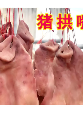 风干腊猪拱嘴咸香味安徽六安特产咸肉猪鼻子带猪核桃肉腊猪脸头皮