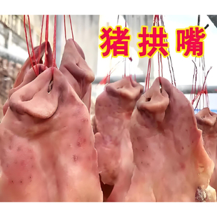 风干腊猪拱嘴咸香味安徽六安特产咸肉猪鼻子带猪核桃肉腊猪脸头皮