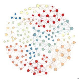 社会网络分析 代做 可视化 做图 复杂网络 Python Ucinet Gephi