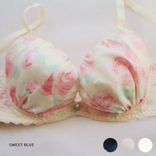 出口日本原单文胸65B70B70C