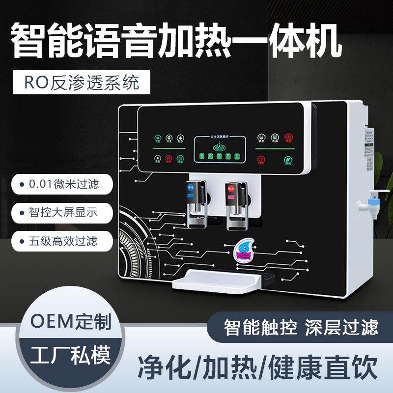 净水器家用直饮语音加热一体机RO反渗透过滤厨房壁挂式饮水机定制