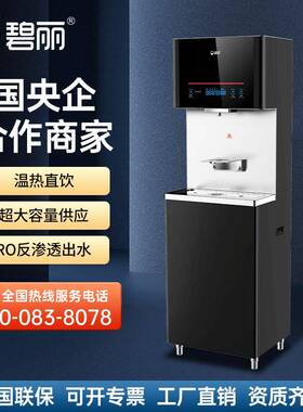 碧丽商用净水器大容量饮水机酒店商用开水器直饮水机（JO-Q8-RO）