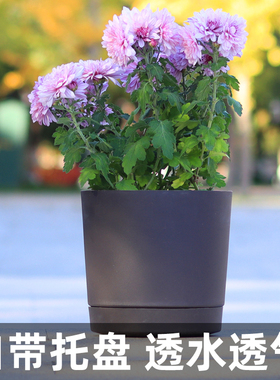 生长魔励种花花盆塑料盆栽月季多肉控根花盆圆形树脂种植盆带托盘