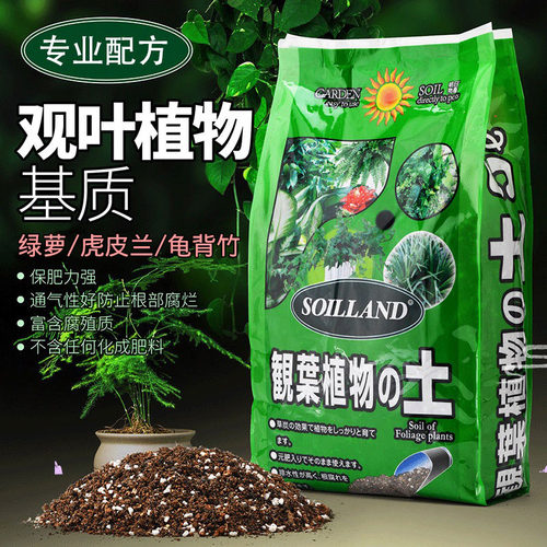 家用盆栽绿萝龟背竹发财树营养土