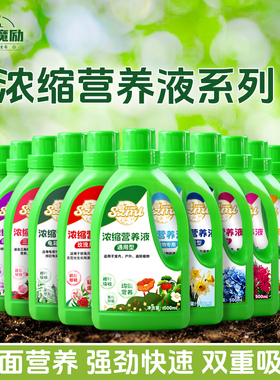 生长魔励浓缩型营养液花卉盆栽植物通用观叶水培绿萝液体养花肥