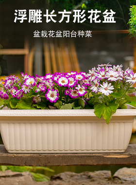 爱丽思塑料花盆阳台种菜种花播种育苗盆蔬菜盆树脂加厚长方形花盆