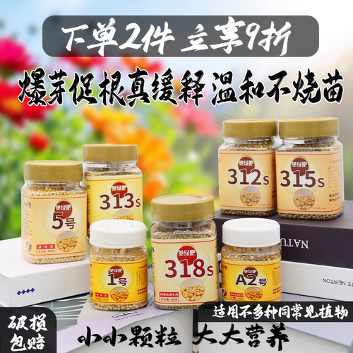 奥绿1号多肉植物园艺玫瑰