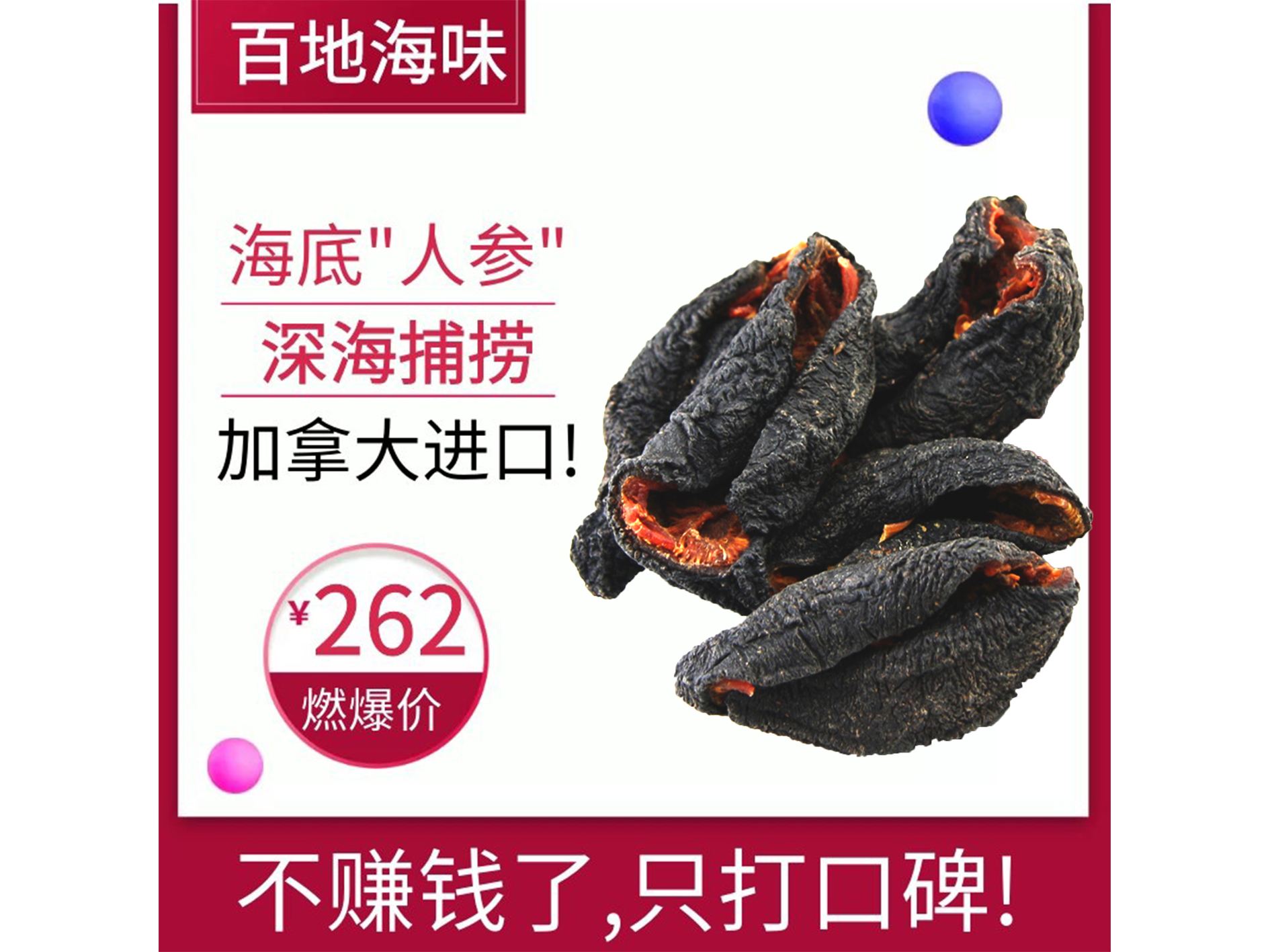 进口红极参 北极红参干淡 加拿大冰岛 淡干野生海参干货 500g包邮
