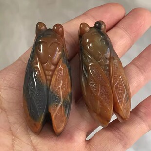 黄龙玉一鸣惊人吊坠黄蜡石男女知了金蝉挂件天然玉蝉成绩如飞挂件