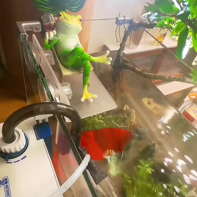 鱼缸水泵底座支架悬空水草摆台