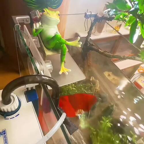 鱼缸水泵底座支架悬空水草摆台