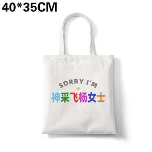 多巴胺sorry神采飞杨女士你还要我怎杨帆布包姓氏谐音通勤大容量