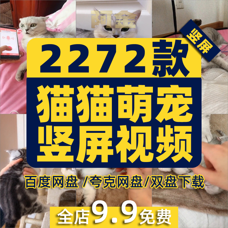 猫咪宠物萌宠短视频猫猫逗猫小猫小狗可爱搞笑高清抖音自媒体素材