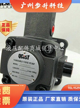 秦川奇斯特QCIST液压VVP变量叶片泵 数控机床 VVP15/55 液压泵