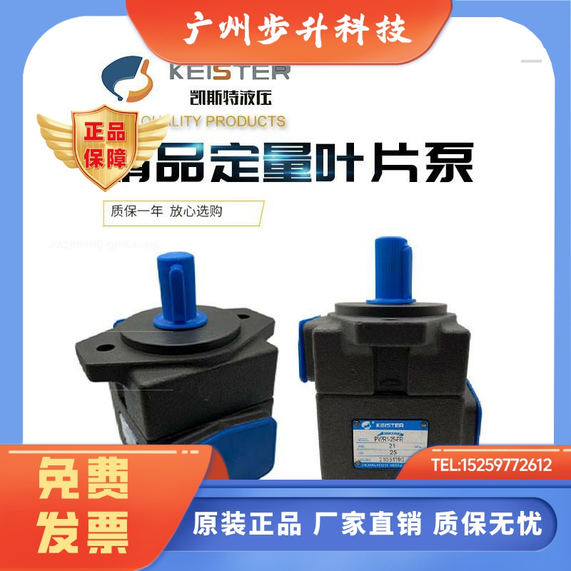 凯斯特KEISTER叶片泵PV2R1-10 14 17 19 23 25 28 31-FR 液压油泵