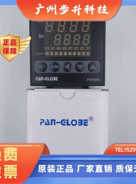 AP909X-301-010-000AA台湾泛达PAN-GLOBE带多段程序温控器温控仪